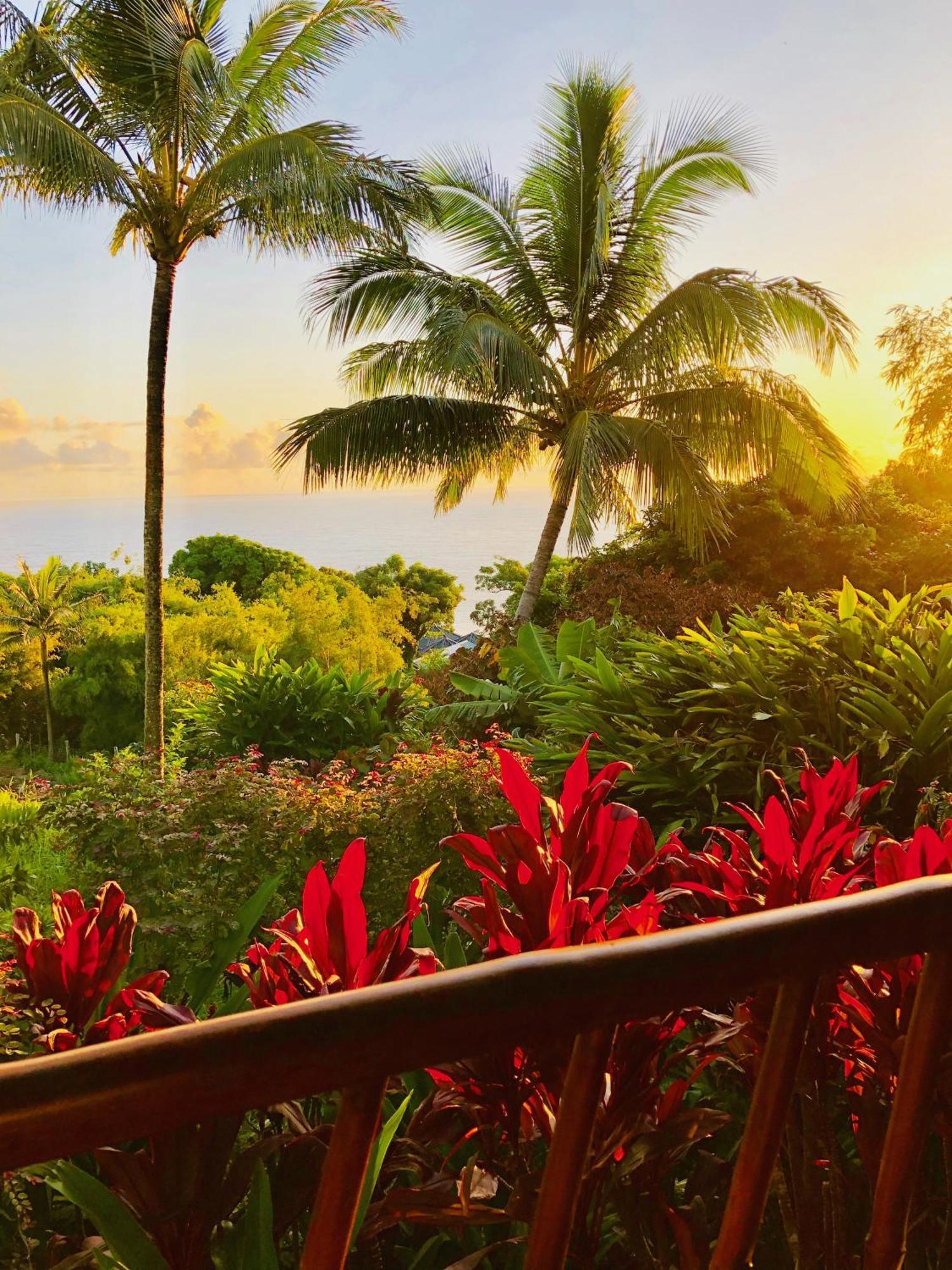 Maui Eco Retreat